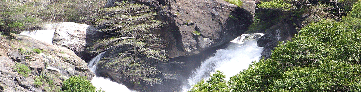 Salmon Creek Falls